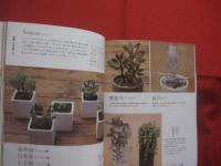 ｓｏｌ×ｓｏｌ が教える  　　    多肉植物育て方ノート    　　  監修 　 松山美紗　 ｓｏｌ×ｓｏｌ      　　河出書房新社  　 発行   　　　　      【サボテン・インテリア】