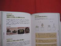 ｓｏｌ×ｓｏｌ が教える  　　    多肉植物育て方ノート    　　  監修 　 松山美紗　 ｓｏｌ×ｓｏｌ      　　河出書房新社  　 発行   　　　　      【サボテン・インテリア】