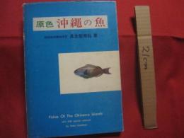 原色 　 沖縄の魚　　    琉球政府農林技官 　具志堅宗弘　 著    　　Ｆｉｓｈｅｓ　  Ｏｆ 　 Ｔｈｅ 　 Ｏｋｉｎａｗａ 　 Ｉｓｌａｎｄｓ     　　　　 【沖縄・琉球・自然・生物・魚類】