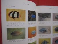 原色 　 沖縄の魚　　    琉球政府農林技官 　具志堅宗弘　 著    　　Ｆｉｓｈｅｓ　  Ｏｆ 　 Ｔｈｅ 　 Ｏｋｉｎａｗａ 　 Ｉｓｌａｎｄｓ     　　　　 【沖縄・琉球・自然・生物・魚類】