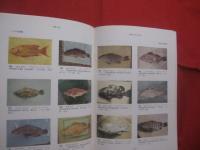 原色 　 沖縄の魚　　    琉球政府農林技官 　具志堅宗弘　 著    　　Ｆｉｓｈｅｓ　  Ｏｆ 　 Ｔｈｅ 　 Ｏｋｉｎａｗａ 　 Ｉｓｌａｎｄｓ     　　　　 【沖縄・琉球・自然・生物・魚類】
