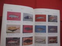 原色 　 沖縄の魚　　    琉球政府農林技官 　具志堅宗弘　 著    　　Ｆｉｓｈｅｓ　  Ｏｆ 　 Ｔｈｅ 　 Ｏｋｉｎａｗａ 　 Ｉｓｌａｎｄｓ     　　　　 【沖縄・琉球・自然・生物・魚類】