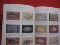 原色 　 沖縄の魚　　    琉球政府農林技官 　具志堅宗弘　 著    　　Ｆｉｓｈｅｓ　  Ｏｆ 　 Ｔｈｅ 　 Ｏｋｉｎａｗａ 　 Ｉｓｌａｎｄｓ     　　　　 【沖縄・琉球・自然・生物・魚類】