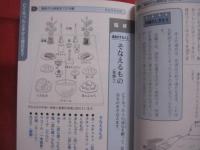 ひと目でわかる！   　 　沖縄の葬式と法事と位牌     　　スーコーとトートーメー       　今すぐ役立つ沖縄のしきたりと最新情報    　　　　沖縄その不思議な世界    　              【沖縄・琉球・歴史・精神文化】