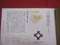 南城市見聞記　　    読んで歩いて　なんじょうの地名と文化    　　仲宗根幸男　  著    　　ボーダーインク  　発行 　　　　   【沖縄・琉球・歴史・文化】