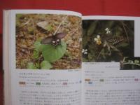 沖縄昆虫野外観察図鑑    　　全４巻 　　   東  清二 編著   　　 沖縄出版 発行 　　   定価 １８，５４０円       　　     【沖縄・琉球・自然・生物】