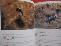沖縄昆虫野外観察図鑑    　　全４巻 　　   東  清二 編著   　　 沖縄出版 発行 　　   定価 １８，５４０円       　　     【沖縄・琉球・自然・生物】