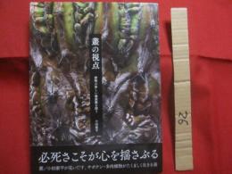 叢の視点  　　    植物の新しい価値観を問う 　　     小田康平 　 著     　　 グラフィック社  　発行       　　　　  【サボテン・多肉植物・観葉植物】