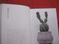 叢の視点  　　    植物の新しい価値観を問う 　　     小田康平 　 著     　　 グラフィック社  　発行       　　　　  【サボテン・多肉植物・観葉植物】