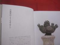 叢の視点  　　    植物の新しい価値観を問う 　　     小田康平 　 著     　　 グラフィック社  　発行       　　　　  【サボテン・多肉植物・観葉植物】