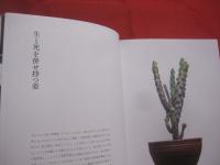叢の視点  　　    植物の新しい価値観を問う 　　     小田康平 　 著     　　 グラフィック社  　発行       　　　　  【サボテン・多肉植物・観葉植物】