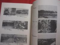 粟国村誌   　　 粟国村村史編纂委員　 編纂 　　   粟国村 　発行    　　　　   【沖縄・琉球・歴史・文化・離島・自然・御嶽・拝所・風俗・歌謡】