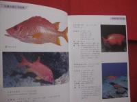 ☆★方言でしらべる 　　  沖縄の魚図鑑    　　２０７種掲載   　　 横井謙典　  著　　    沖縄出版 　 発行  　　　　      【沖縄・琉球・自然・海洋生物・魚類】