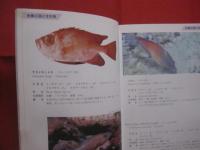 ☆★方言でしらべる 　　  沖縄の魚図鑑    　　２０７種掲載   　　 横井謙典　  著　　    沖縄出版 　 発行  　　　　      【沖縄・琉球・自然・海洋生物・魚類】