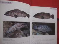 ☆★方言でしらべる 　　  沖縄の魚図鑑    　　２０７種掲載   　　 横井謙典　  著　　    沖縄出版 　 発行  　　　　      【沖縄・琉球・自然・海洋生物・魚類】