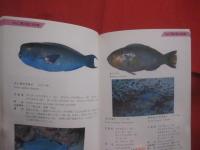 ☆★方言でしらべる 　　  沖縄の魚図鑑    　　２０７種掲載   　　 横井謙典　  著　　    沖縄出版 　 発行  　　　　      【沖縄・琉球・自然・海洋生物・魚類】