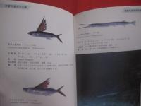 ☆★方言でしらべる 　　  沖縄の魚図鑑    　　２０７種掲載   　　 横井謙典　  著　　    沖縄出版 　 発行  　　　　      【沖縄・琉球・自然・海洋生物・魚類】