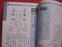 ☆ひと目でわかる！   　 　沖縄の葬式と法事と位牌     　　スーコーとトートーメー       　今すぐ役立つ沖縄のしきたりと最新情報    　　　　沖縄その不思議な世界    　              【沖縄・琉球・歴史・精神文化】