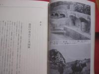 インジャ   　   身売りと苦役      　　糸満売り・女工哀史に続く第三弾！   　　   福地曠昭  　 著  　　    那覇出版社  　 発行       　　       【沖縄・琉球・歴史・文化】