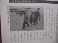 日本のいちばん南にあるぜいたく　　  不思議空間「八重山」から「もうひとつの日本」が見えてくる    　　　　    【沖縄・琉球・歴史・文化・自然・八重山・離島・先島諸島】
