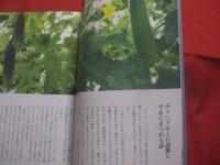 チャンプルーとウチナーごはん 　　 友利知子 ＋ 沖縄の食を考える会 　著  　　沖縄タイムス社　 発行　　　　　　 【沖縄・琉球・料理・レシピ・食文化】