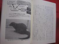 沖縄の自然は大丈夫？  　　生物の多様性と保全   　　 琉球大学ブックレット２  　  　琉球大学　 発行　　　　     【沖縄・琉球・自然・生物・環境】