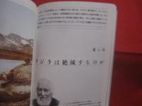 クジラの世界    　　イヴ・コア  　著   　　 宮崎信之 　 監修   　　 高橋 啓  　訳    　　創元社 　 発行  　　　　   【自然・生物・動物・哺乳類・知識】
