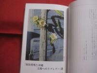 現代思想 　　 ２０１３年５月臨時増刊号 　　 Ｖｏｌ．４１－６　　    総特集　  東松照明　　　　  戦後日本マンダラ  　　　　　　  【沖縄・琉球・歴史・文化・アート写真】