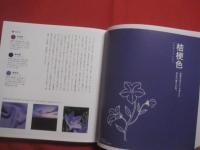 日本の色図鑑  　　  ＪＡＰＡＮＥＳＥ　  ＴＲＡＤＩＴＩＯＮＡＬ  　ＣＯＬＯＲＳ  　　  吉田雪乃　  監修    　　松尾ミユキ　  絵 　　　　     【色彩・自然・伝統・工芸・文化】