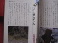おもしろくてためになる 　   魚の雑学事典　　    富田京一 　 荒俣幸男　  さとう俊 　 著    　　日本実業出版社　  発行　　　　     【自然・生物・動物・魚類・知識】