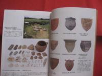 南島考古入門 　　   掘り出された沖縄の歴史・文化    　　沖縄考古学会 　 編　　    ボーダーインク 　 発行  　　　　    【沖縄・琉球・歴史・文化】