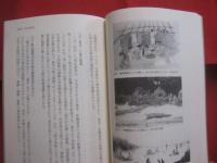 南島考古入門 　　   掘り出された沖縄の歴史・文化    　　沖縄考古学会 　 編　　    ボーダーインク 　 発行  　　　　    【沖縄・琉球・歴史・文化】