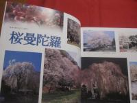 ☆写真集 　  ２０００年の八王子 　  〔 保存版 〕　　    「 ２０００年の八王子 」 写真集刊行会　  編集　  発行 　　　　        【自然・風景・文化】