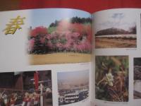 ☆写真集 　  ２０００年の八王子 　  〔 保存版 〕　　    「 ２０００年の八王子 」 写真集刊行会　  編集　  発行 　　　　        【自然・風景・文化】