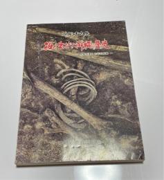 掘り出された沖縄の歴史 : 発掘調査10年の成果 沖縄考古展