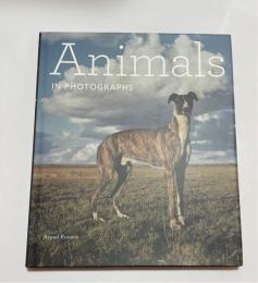 Animals in Photographs (動物の洋書写真集）
