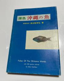 原色沖縄の魚