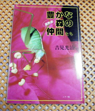 民俗芸能全集4巻 琉球王朝古謡秘曲の研究(山内盛彬 著) / 小雨堂