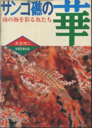 サンゴ礁の華　南の海を彩る魚たち