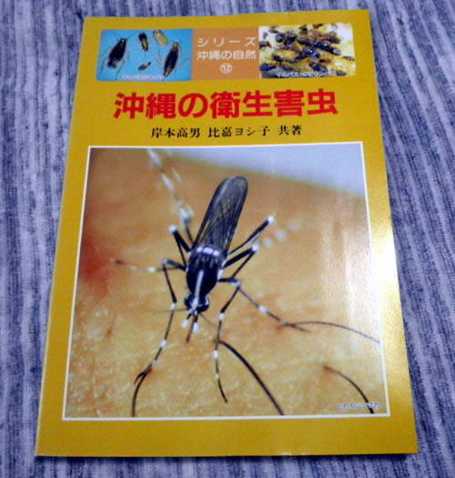 ブナガヤ(きじむなぁ)実在証言集 : 不思議な火をともす怪奇動物