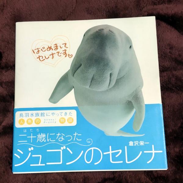 二十歳になったジュゴンのセレナ 倉沢栄一 写真 イラスト 文 古本 中古本 古書籍の通販は 日本の古本屋 日本の古本屋 二十歳になったジュゴンのセレナ 倉沢栄一 写真 イラスト 文 古本 中古本 古書籍の通販は 日本の古本屋 日本の古本屋