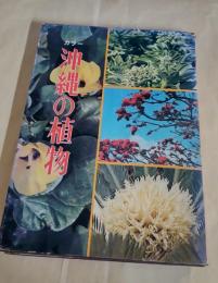 沖縄の植物 : カラー