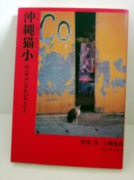 沖縄猫小(うちなーまやーぐゎー)　センチメンタルジャーニー