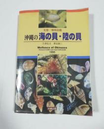 沖縄の海の貝・陸の貝 : 生態/検索図鑑