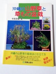 沖縄の山野草と草もの盆栽