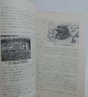 琉球の屋根獅子