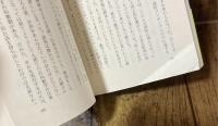 なつかしい本の記憶　岩波少年文庫の50年 岩波少年文庫