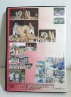 ＤＶＤ　宜野湾区 大綱引き　2007年7月29日