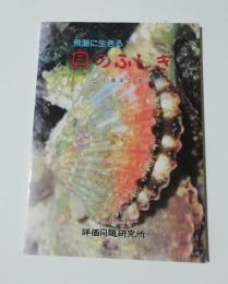 荒海に生きる貝のふしぎ