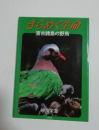 きらめく生命 : 宮古諸島の野鳥